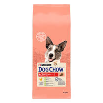 Dog Chow active frontal nuevo