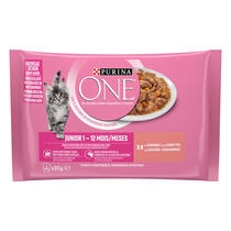 PURINA ONE® Junior Finas Láminas en Salsa con Salmón y Zanahorias Vista Frontal