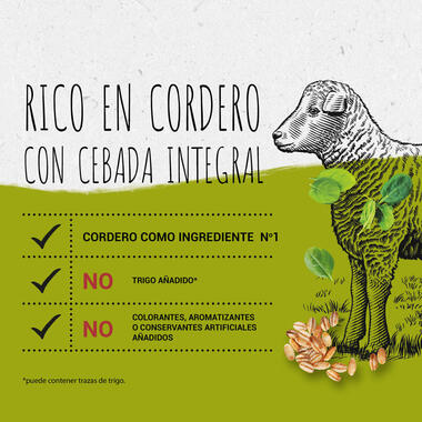 BEYOND® Rico en Cordero con Cebada Integral Beneficios
