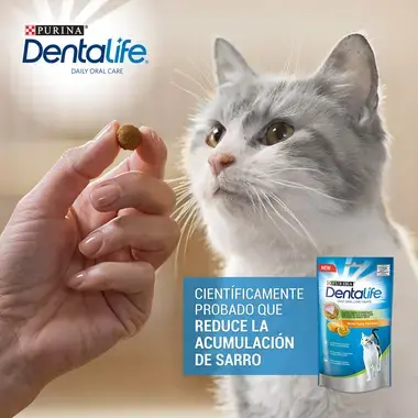 PURINA® DENTALIFE® snacks de pollo para gatos Momento de consumo