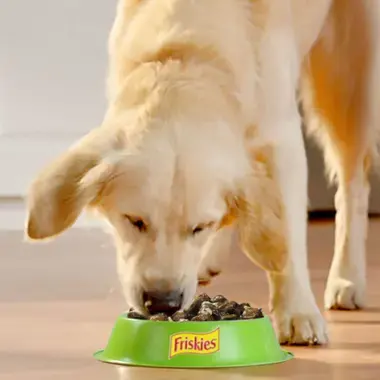 PURINA® FRISKIES® Adulto con Pollo, Cordero y Buey en Gelatina Momento de consumo