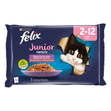 FELIX® Fantastic Junior Vista Frontal