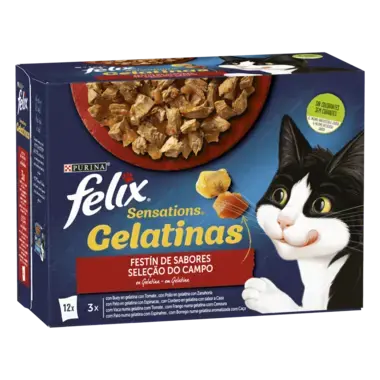 FELIX® Sensations Festin de Sabores en Gelatina Vista Frontal