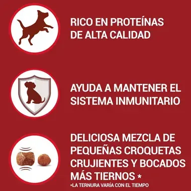 PURINA® ONE® Mini Perro Active seco Pollo y Arroz Beneficios