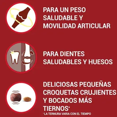 PURINA® ONE® Mini Perro Senior 8+ seco Pollo y Arroz Beneficios