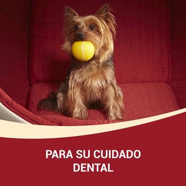 PURINA® ONE® Mini Perro Dental seco Pollo y Arroz Beneficios