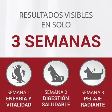 PURINA® ONE® Mini Perro Piel y Pelaje seco Buey y Arroz Beneficios