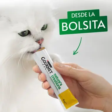 PURINA® GOURMET® NATURE'S CREATIONS Exquisito Puré Snack Liquido con Buey y Tomate Momento de consumo
