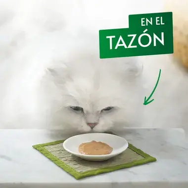Momento de consumo