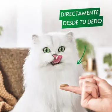 Momento de consumo
