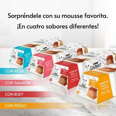PURINA® GOURMET™ REVELATIONS™ Pirámide de Mousse, con Buey y cascada de Salsa Vista Lateral