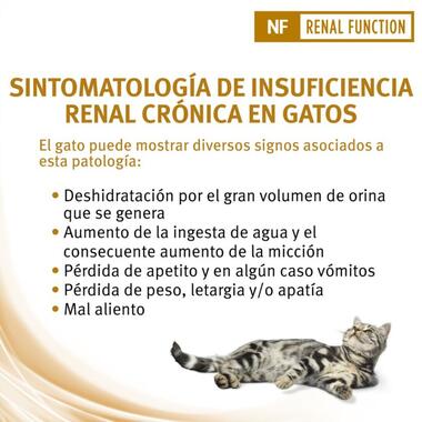 PURINA® PRO PLAN® VETERINARY DIETS Feline NF Renal Function Beneficios