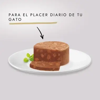 PURINA® GOURMET® GOLD Terrine con Conejo Textura