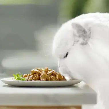 PURINA® GOURMET® PERLE Finas Láminas DUO con Carnes Delicadas Momento de consumo