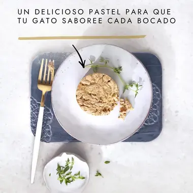 PURINA® GOURMET® GOLD Tartelette con Pollo y Zanahoria Textura