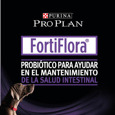 PURINA® PRO PLAN® Canine Fortiflora Beneficios