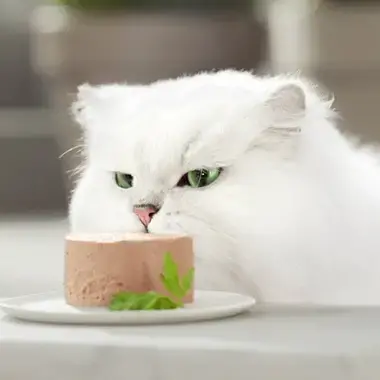 PURINA® GOURMET® GOLD Mousse Pato y Espinacas Momento de consumo