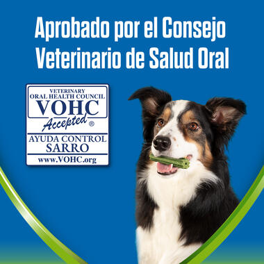 Dentalife active fresh large aprobado consejo veterinario