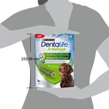 Dentalife active fresh large pack tamaño