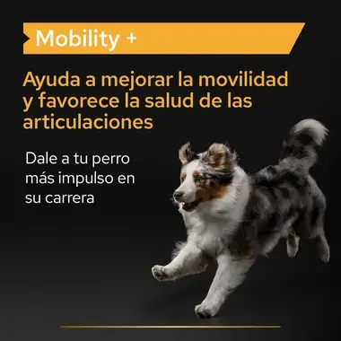 PRO PLAN® Mobility Suplemento en polvo para perros
