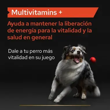 PRO PLAN® Multivitamins Suplemento para Perro en Tabletas