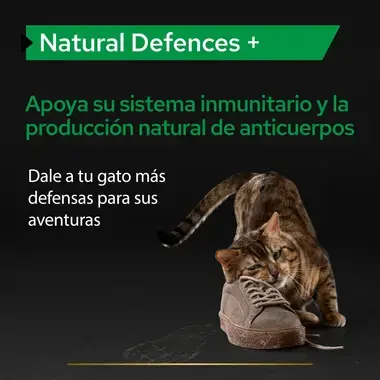 PRO PLAN® Natural Defences Suplemento para Gatos en Polvo