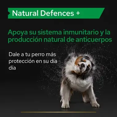 PRO PLAN® Natural Defences Suplemento para Perros en Tabletas