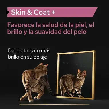 PRO PLAN® Skin & Coat Suplemento para gatos en Aceite