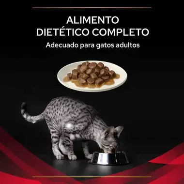 PURINA® PRO PLAN® VETERINARY DIETS Feline DM Diabetes Management Sobres Pollo Textura