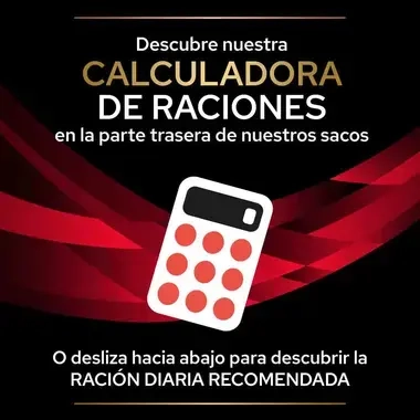 PURINA® PRO PLAN® VETERINARY DIETS Feline DM Diabetes Management Sobres Pollo Calculadora