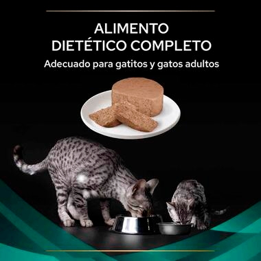 PURINA® PRO PLAN® VETERINARY DIETS Feline EN Gastrointestinal Mousse Textura
