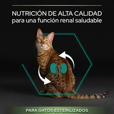 7613033566417_7-Nutrición