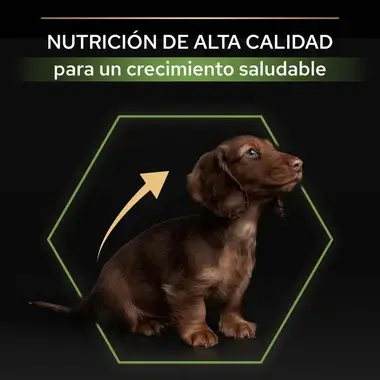 7613035114340_7 Nutr