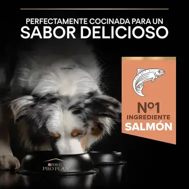 7613035114777_7 Sabor