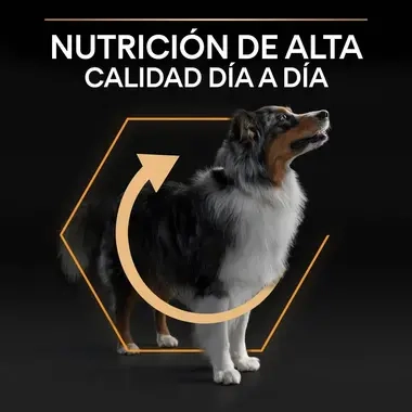 7613035114807_8 Nutri