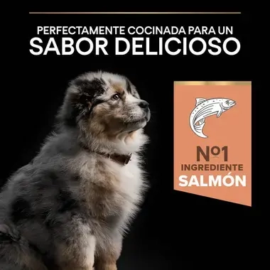 7613035114838_7 Sabor