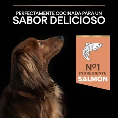 7613035114890_7 Sabor