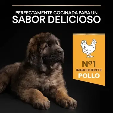 7613035120341_7 Sabor