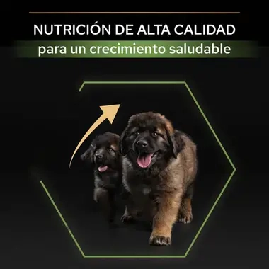 7613035120341_8 Nutri