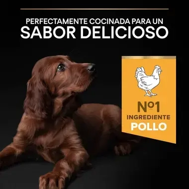 7613035120365_7 Sabor