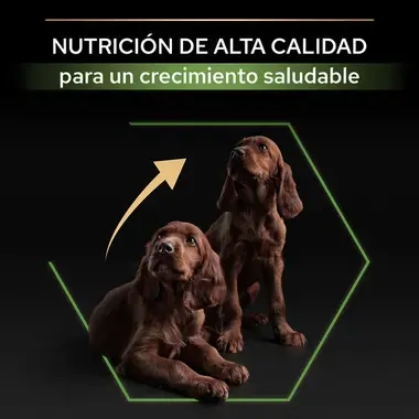 7613035120365_8 Nutri