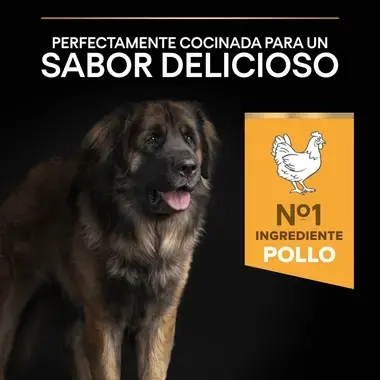 7613035120426_7 Sabor