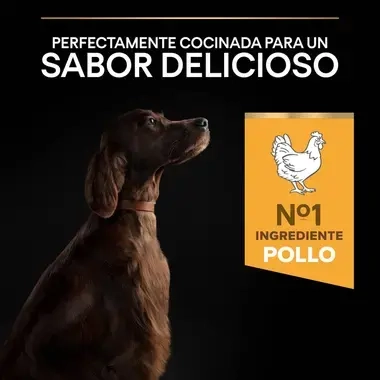 7613035120440_7 Sabor