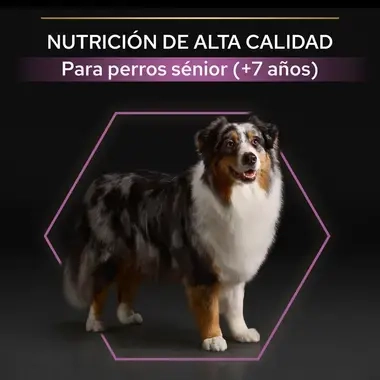 7613035124974_8 Nutri