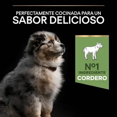 7613035214767_7 Sabor