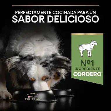 7613035214798_7 Sabor
