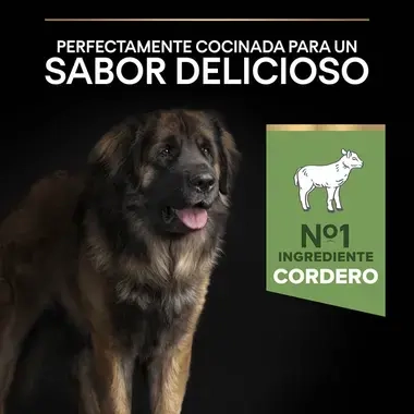 7613035417236_7 Sabor