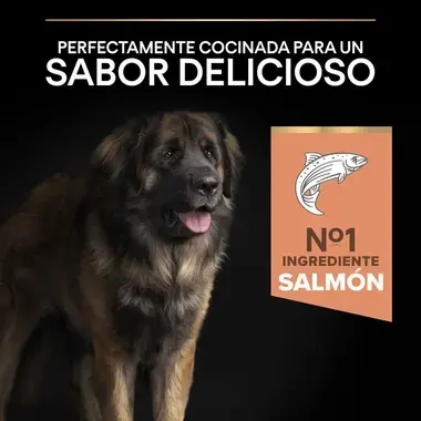 7613035417298_7 Sabor