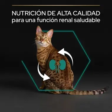 7613036505987_7 Nutrición