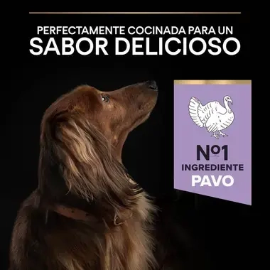7613036731324_7 Sabor